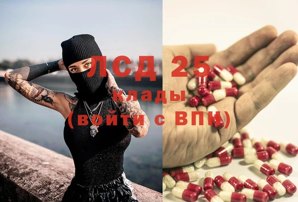 винт Липки