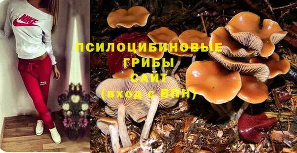 эйфоретик Лиски