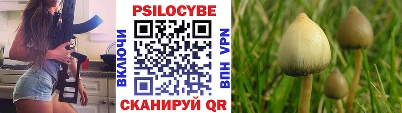 цена kraken Псилоцибиновые грибы MAGIC MUSHROOMS Черепаново
